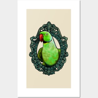 Parrot Cameo: Ringneck Parrot Posters and Art